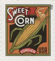 Summer Harvest - Sweet Corn