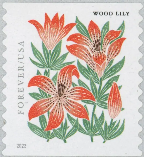Mountain flora