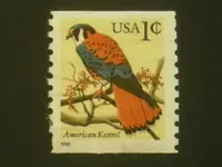 kestrel