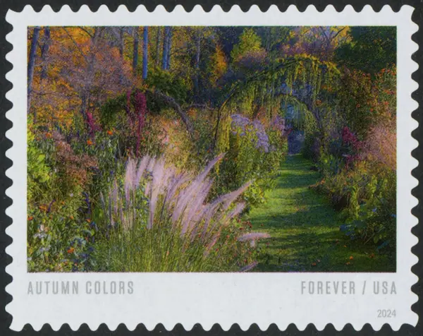 Autumn Colors