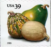 Crops of the Americas - Squash