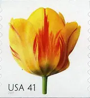 Beautiful Blooms - Tulip
